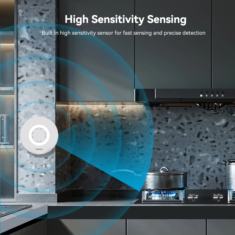 Mian Zigbee Gasdetector Tuya W - Home Security Devices recensie en prijs