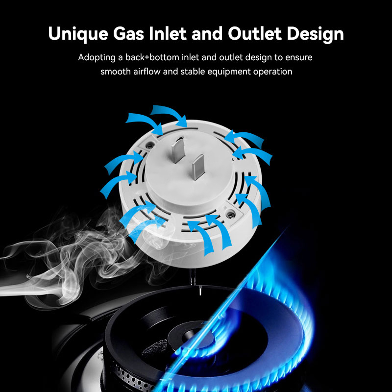 Mian Zigbee Gasdetector Tuya W - Home Security Devices recensie en prijs
