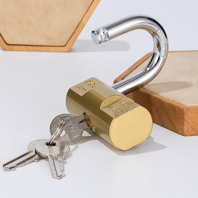 Beveilig uw bagage met kleine  - Home Security Project recensie en prijs