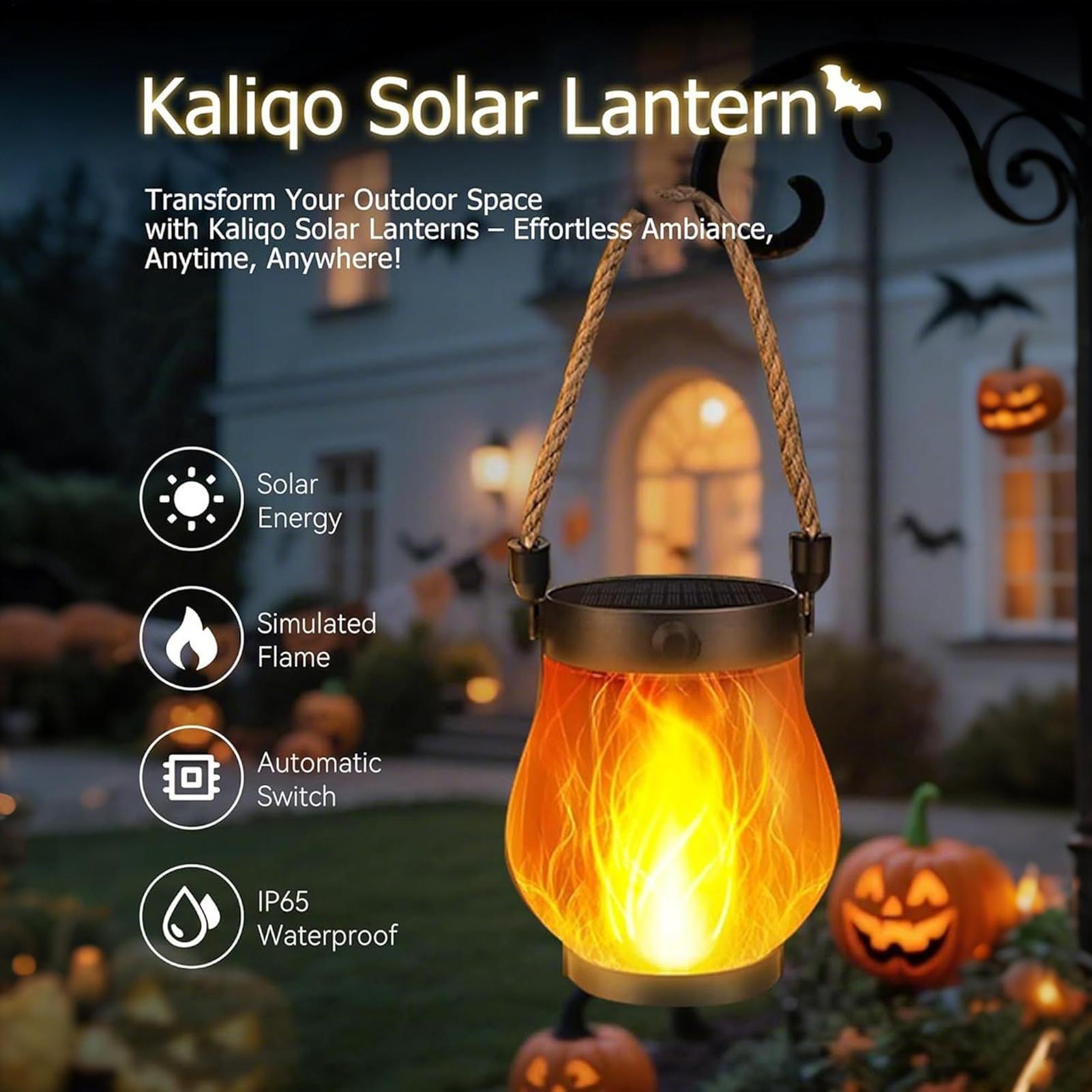 Zonne-aangedreven flikkerende  - Home Security Yard Sign recensie en prijs