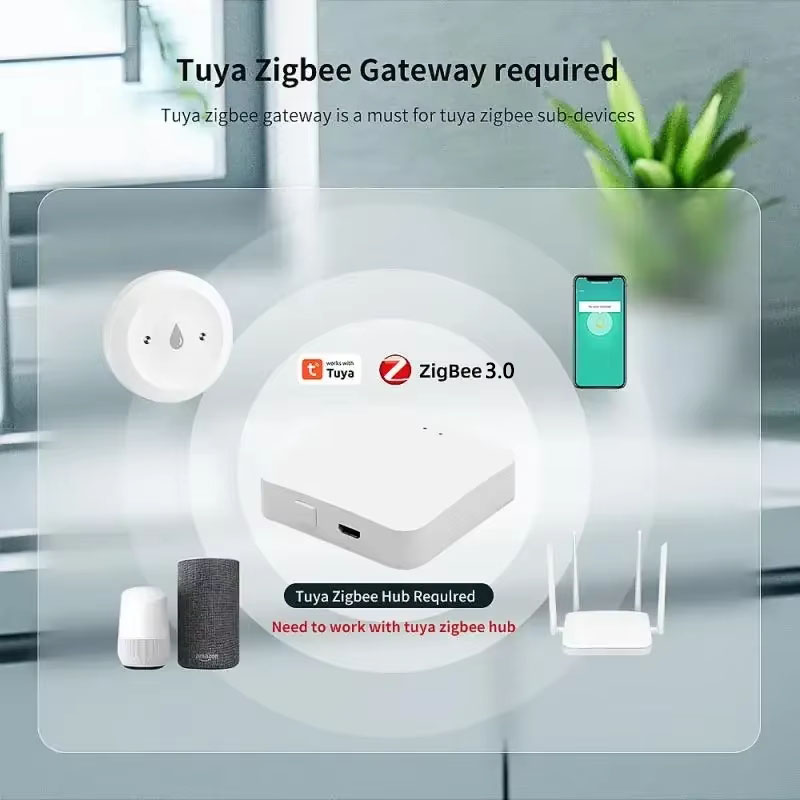 Tuya ZigBee 3.0 Waterlekdetect - Home Security App recensie en prijs