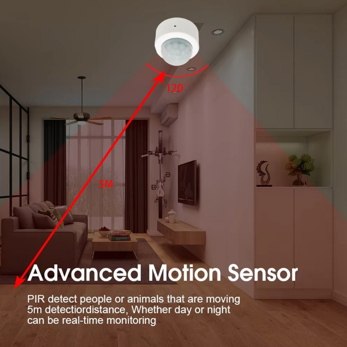 Zigbee3.0 Mini PIR Menselijke  - Home Security Devices recensie en prijs