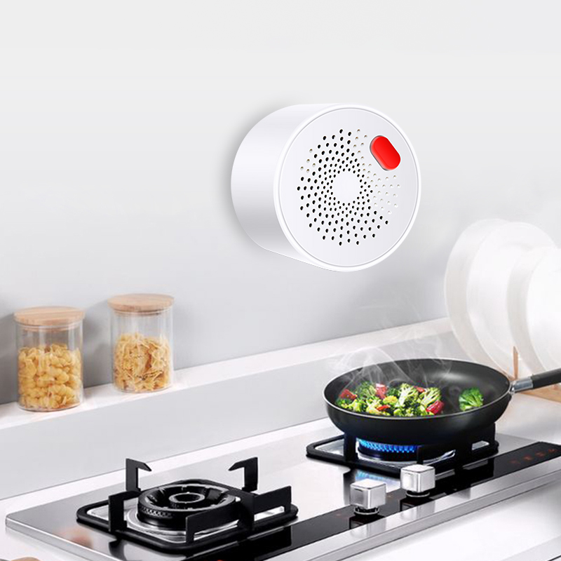 Tuya Smart Home Wifi Aardgas S - Home Security Devices recensie en prijs